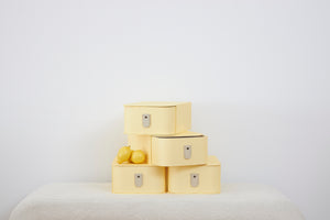 Milan Shoe Box - Limon