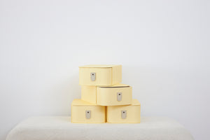 Milan Shoe Box - Limon