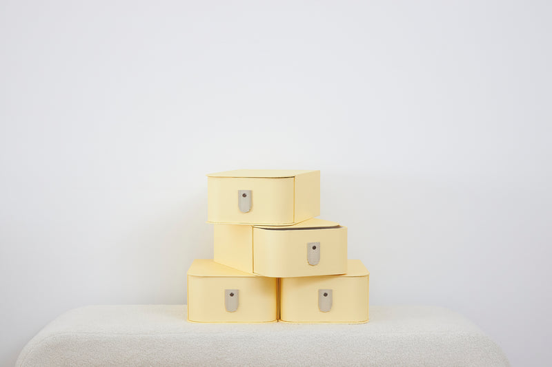 Milan Shoe Box - Limon